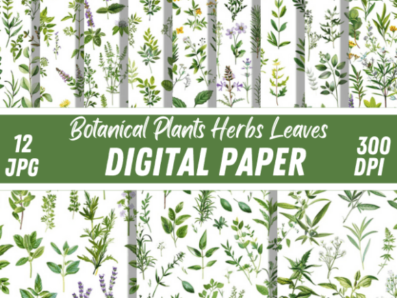 Botanical Plants Leaves Patterns